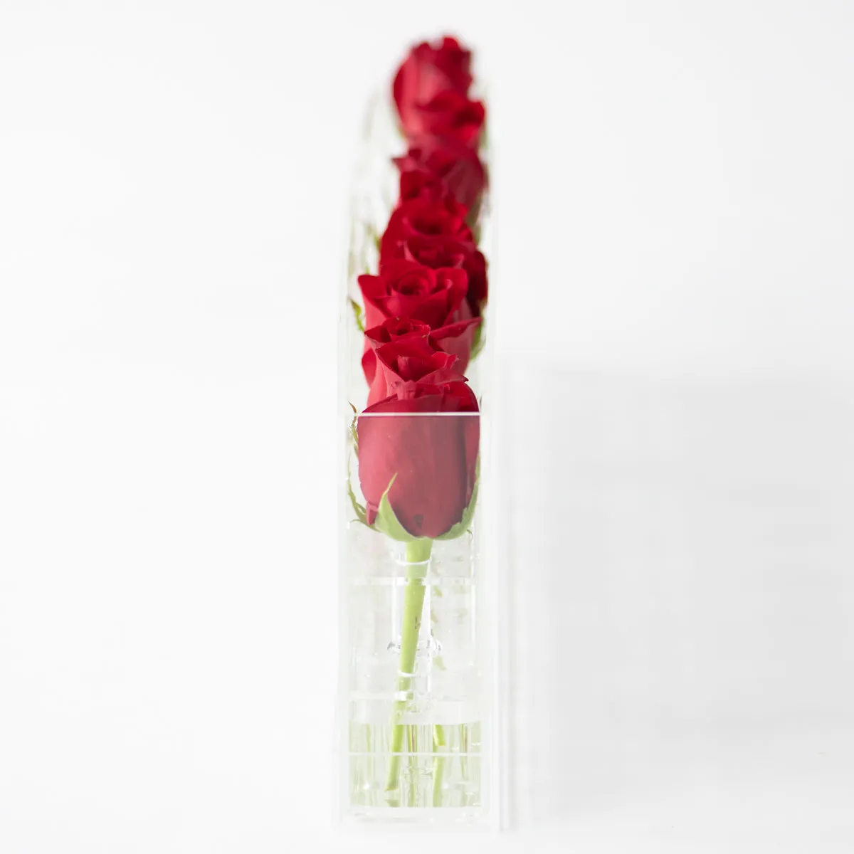 12 Rosebox Single Row
