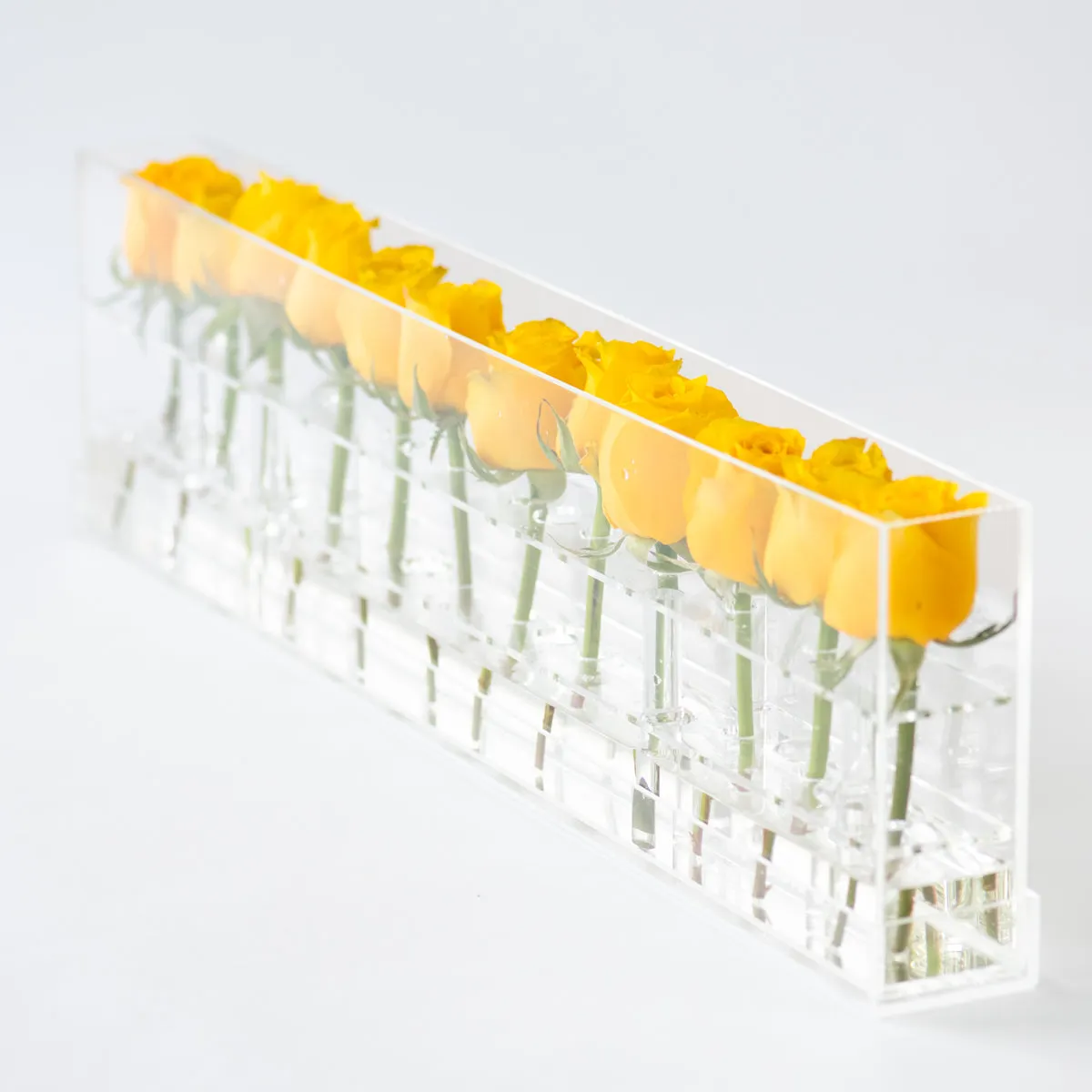 12 Rosebox Single Row
