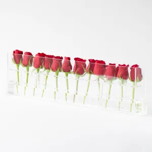 12 Rosebox Single Row