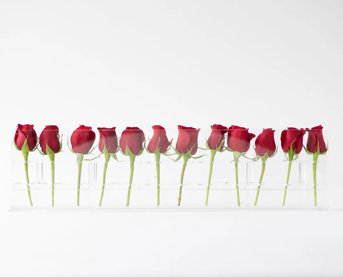 12 Rosebox Single Row