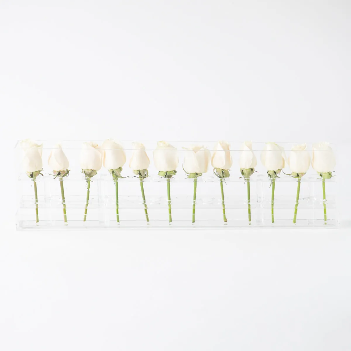 12 Rosebox Single Row