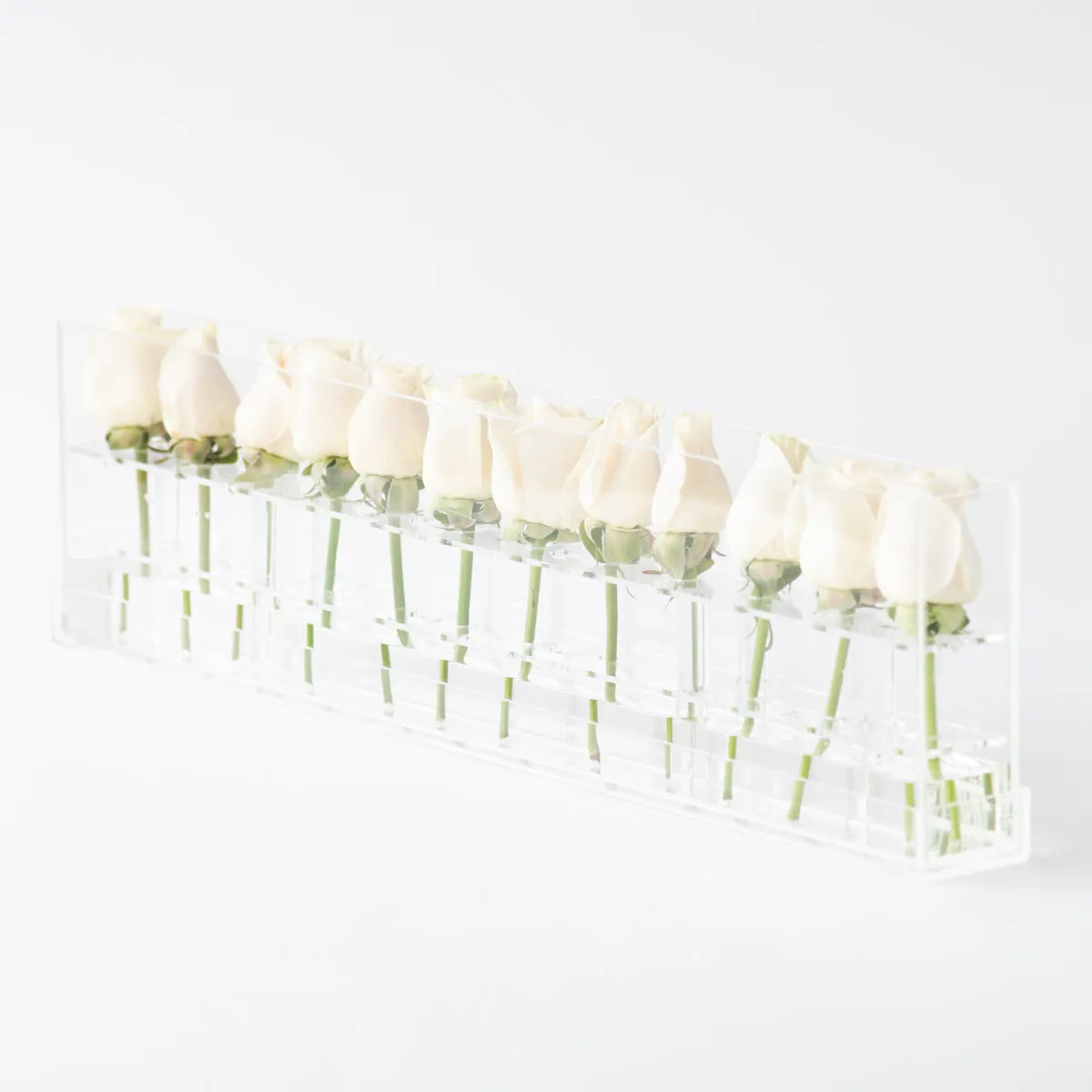 12 Rosebox Single Row