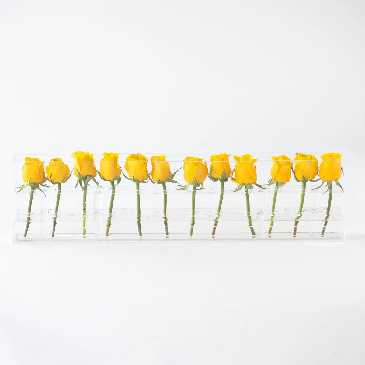 12 Rosebox Single Row