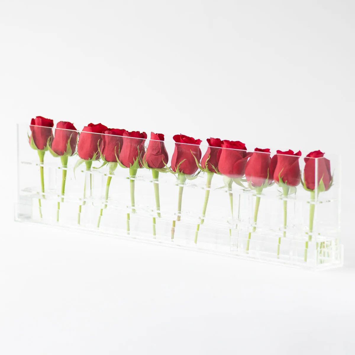12 Rosebox Single Row