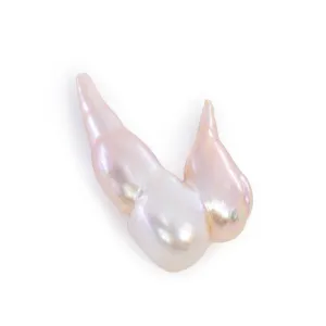 Baroque Freshwater Pearl 28.92 Carat Natural Gem