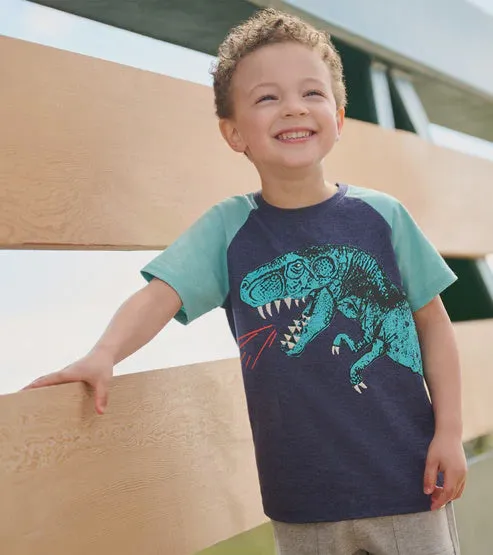 Boys T-Rex Raglan Tee