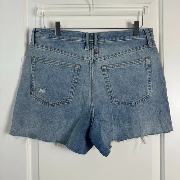 Free People Distressed Denim Shorts Loose Cannon NWT 31