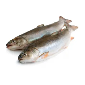 Fresh seafood