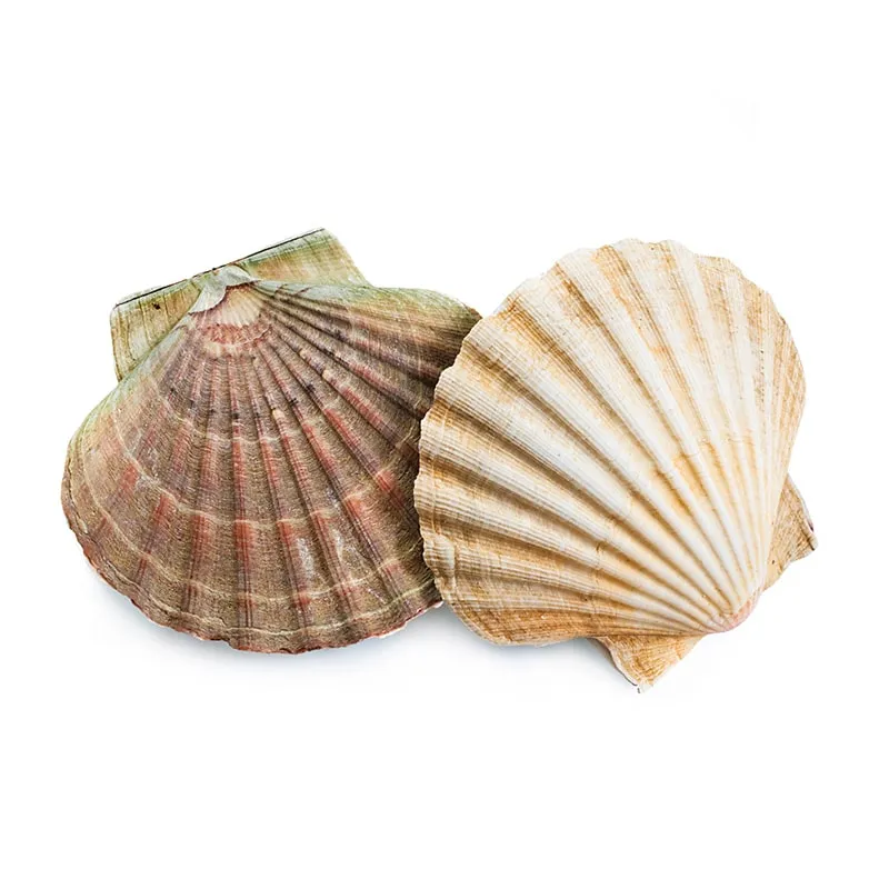 Fresh seafood