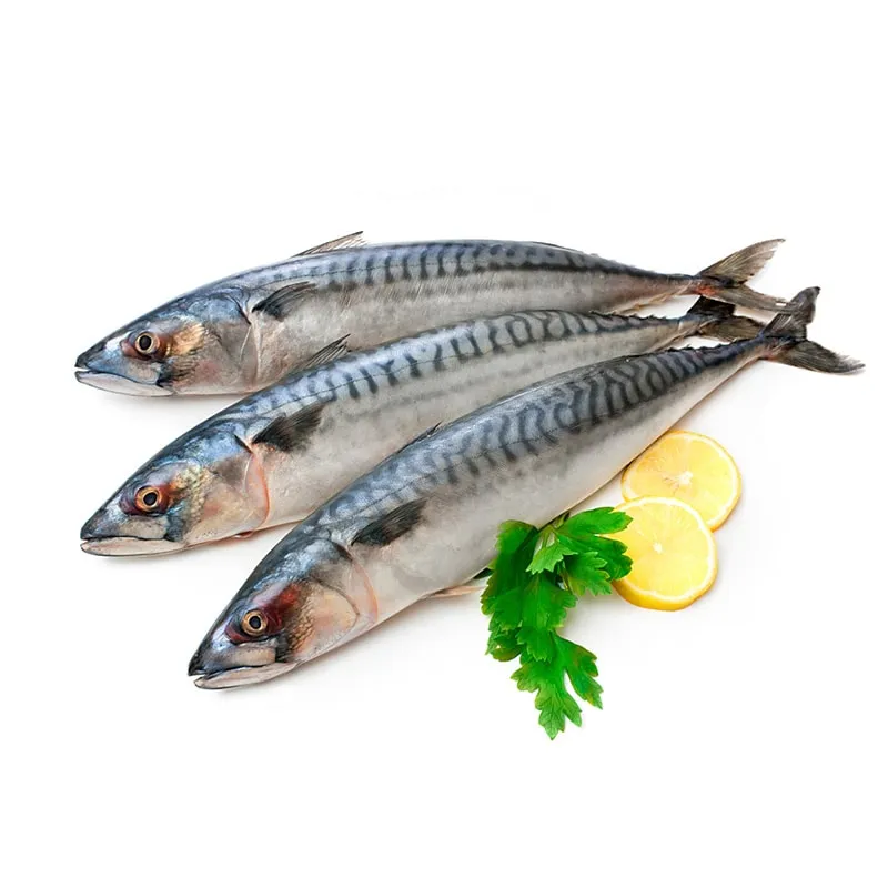 Fresh seafood