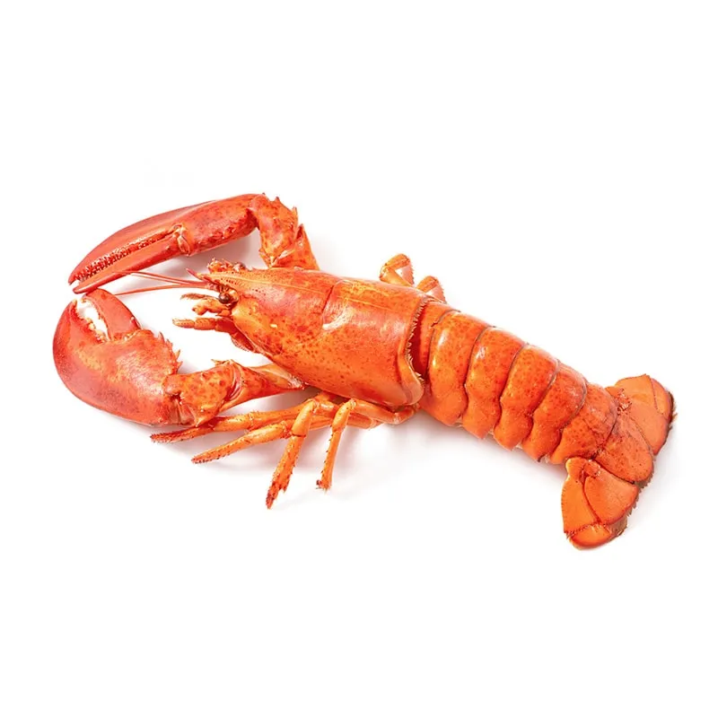 Fresh seafood