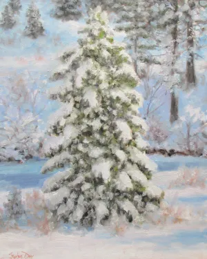Fresh Snow