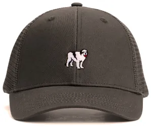 Icon Trucker Hat