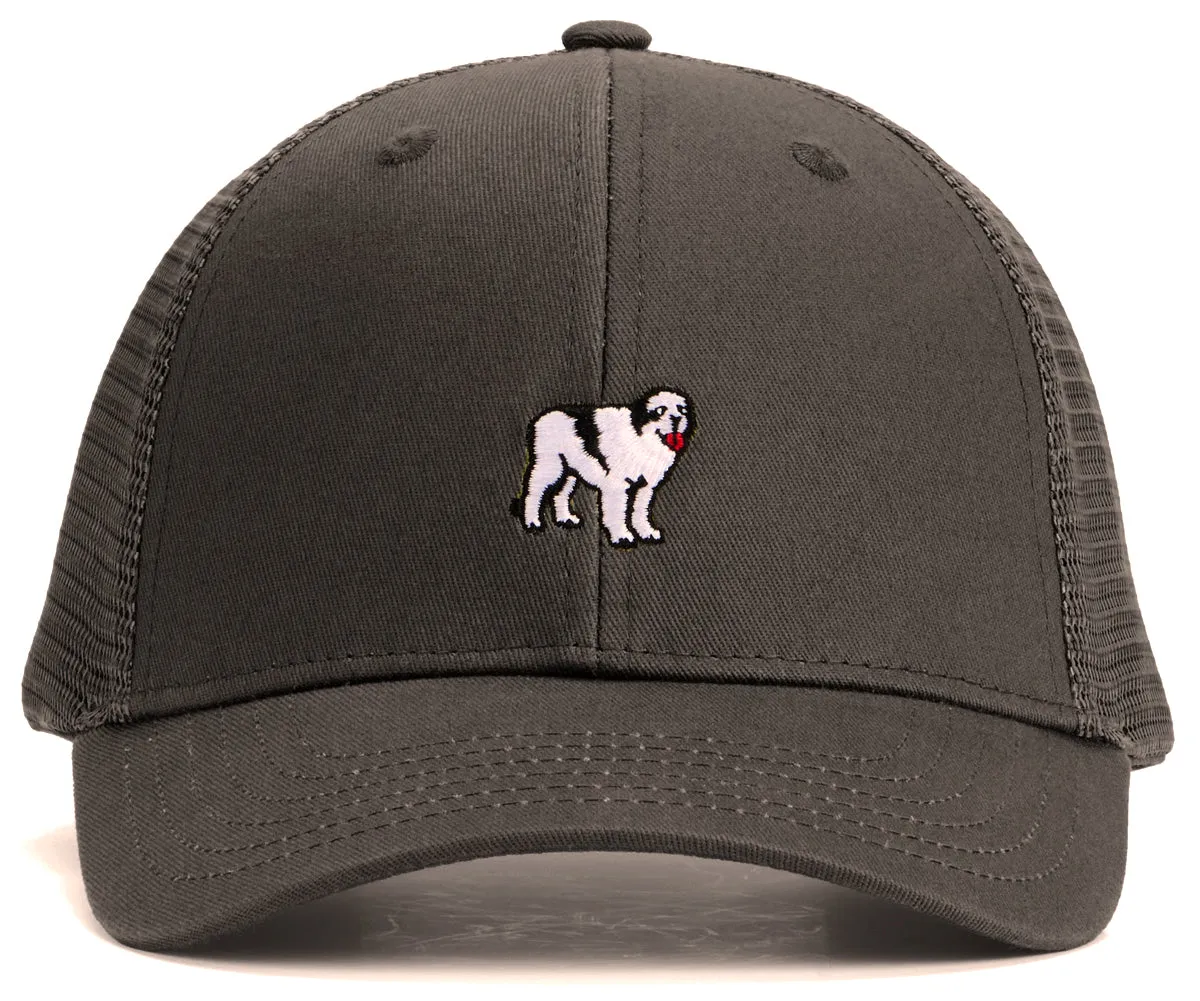 Icon Trucker Hat