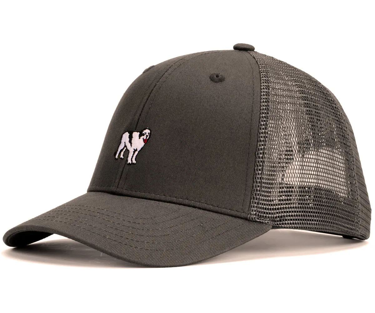 Icon Trucker Hat