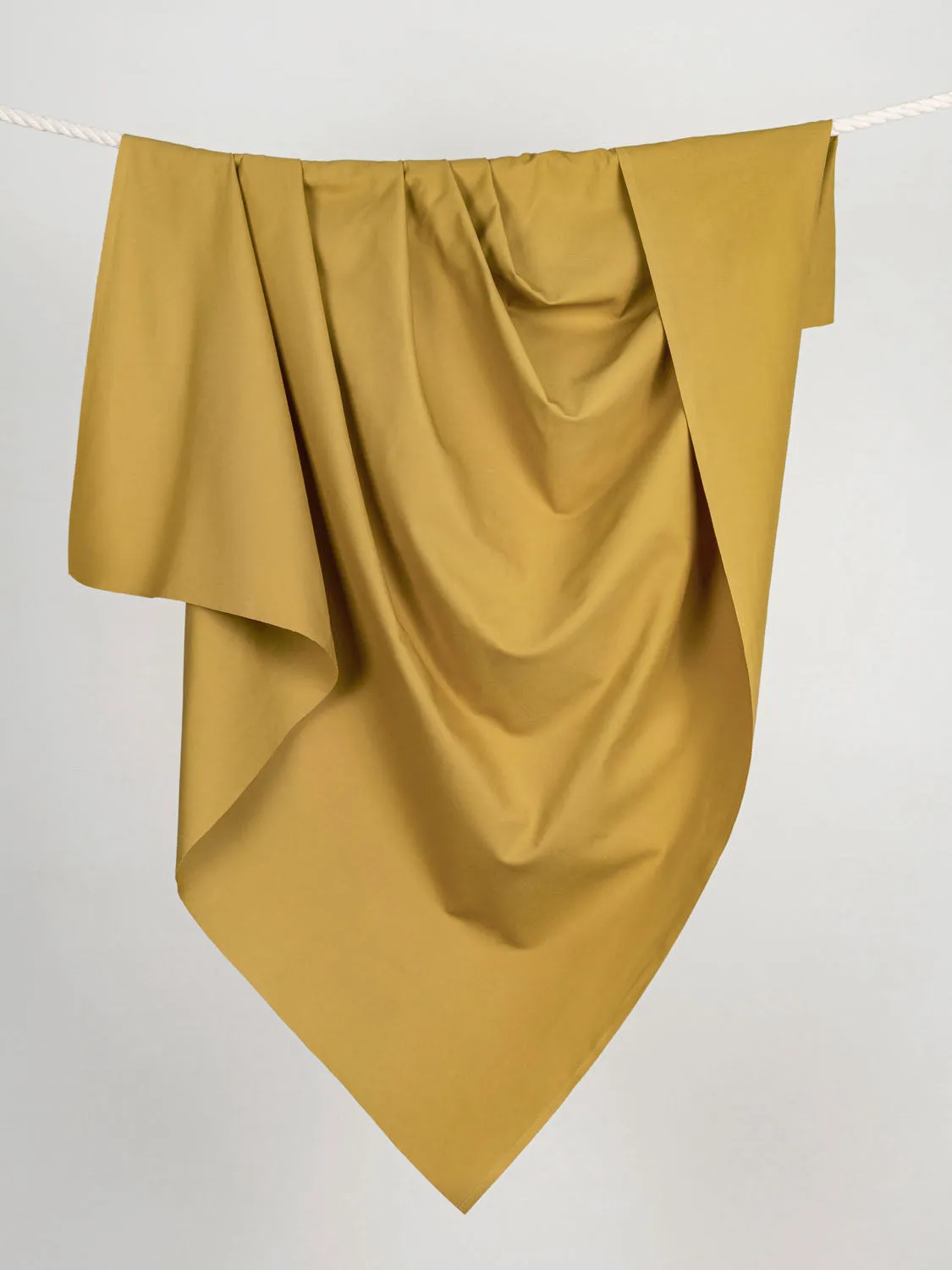 Midweight Core Collection Organic Cotton Canvas - Honey - Swatch