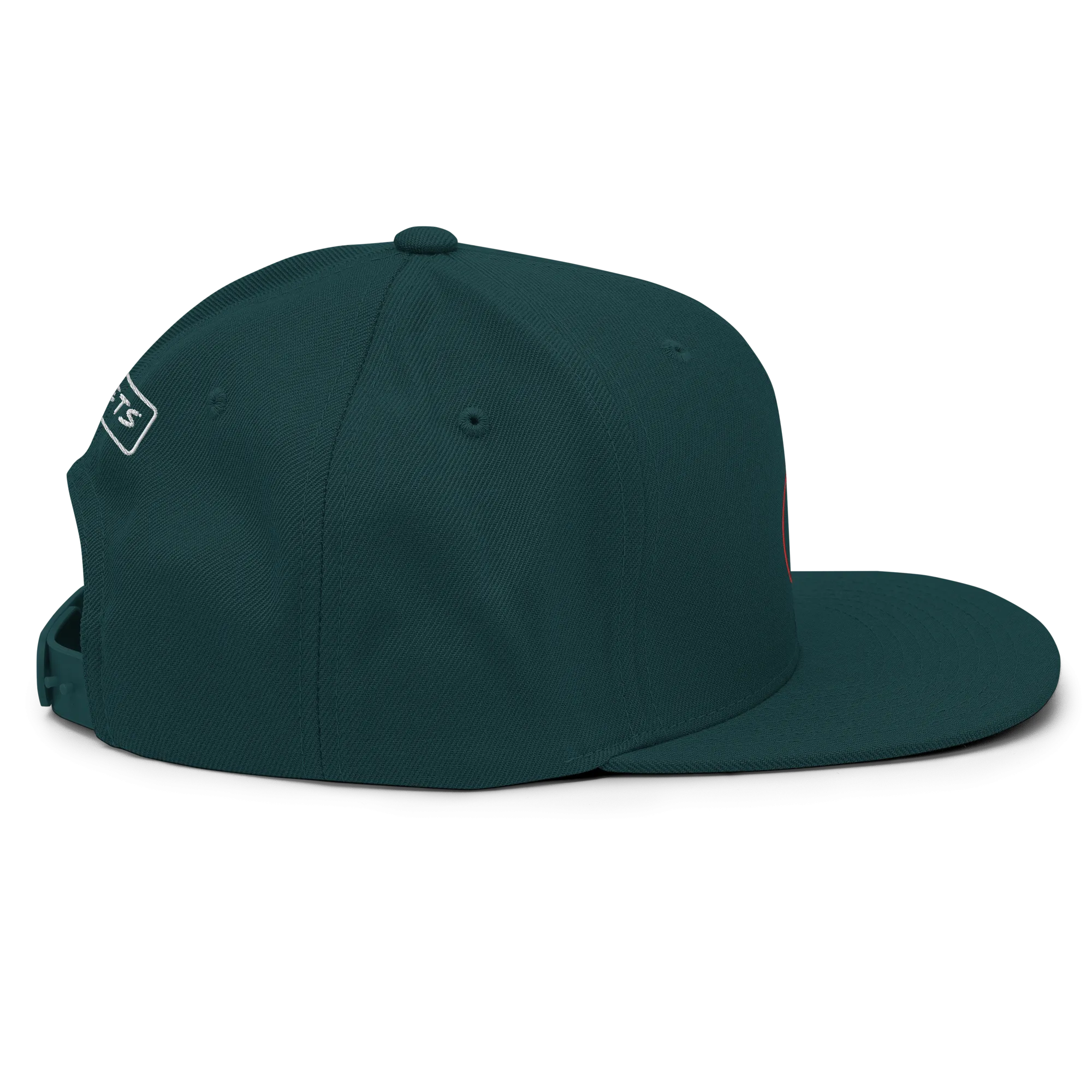 No Practice Swings Snapback Hat