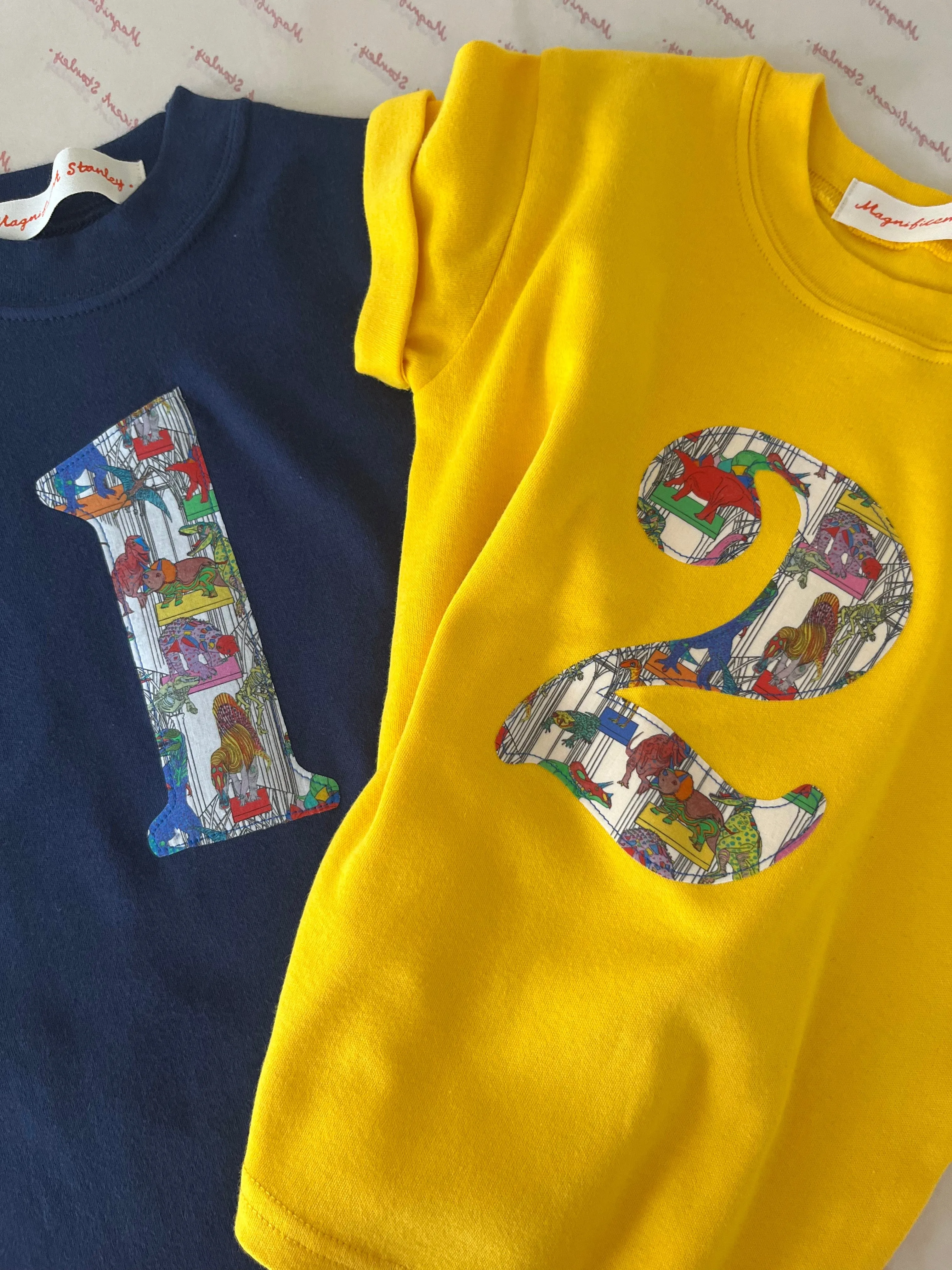 Personalised or Age Navy T-Shirt in Dinosaur Liberty Print