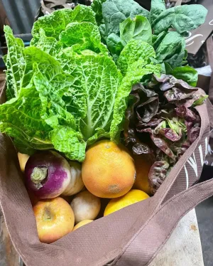 Small Fresh Harvest Basket 1 month commitment