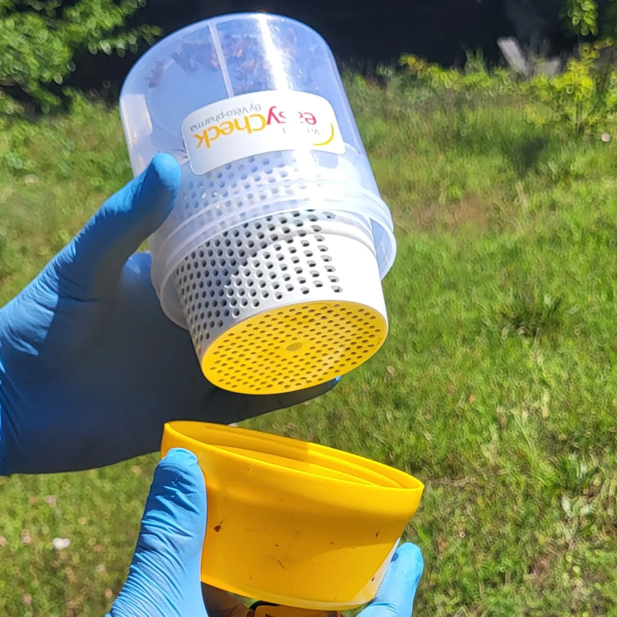 Varroa Easy Check